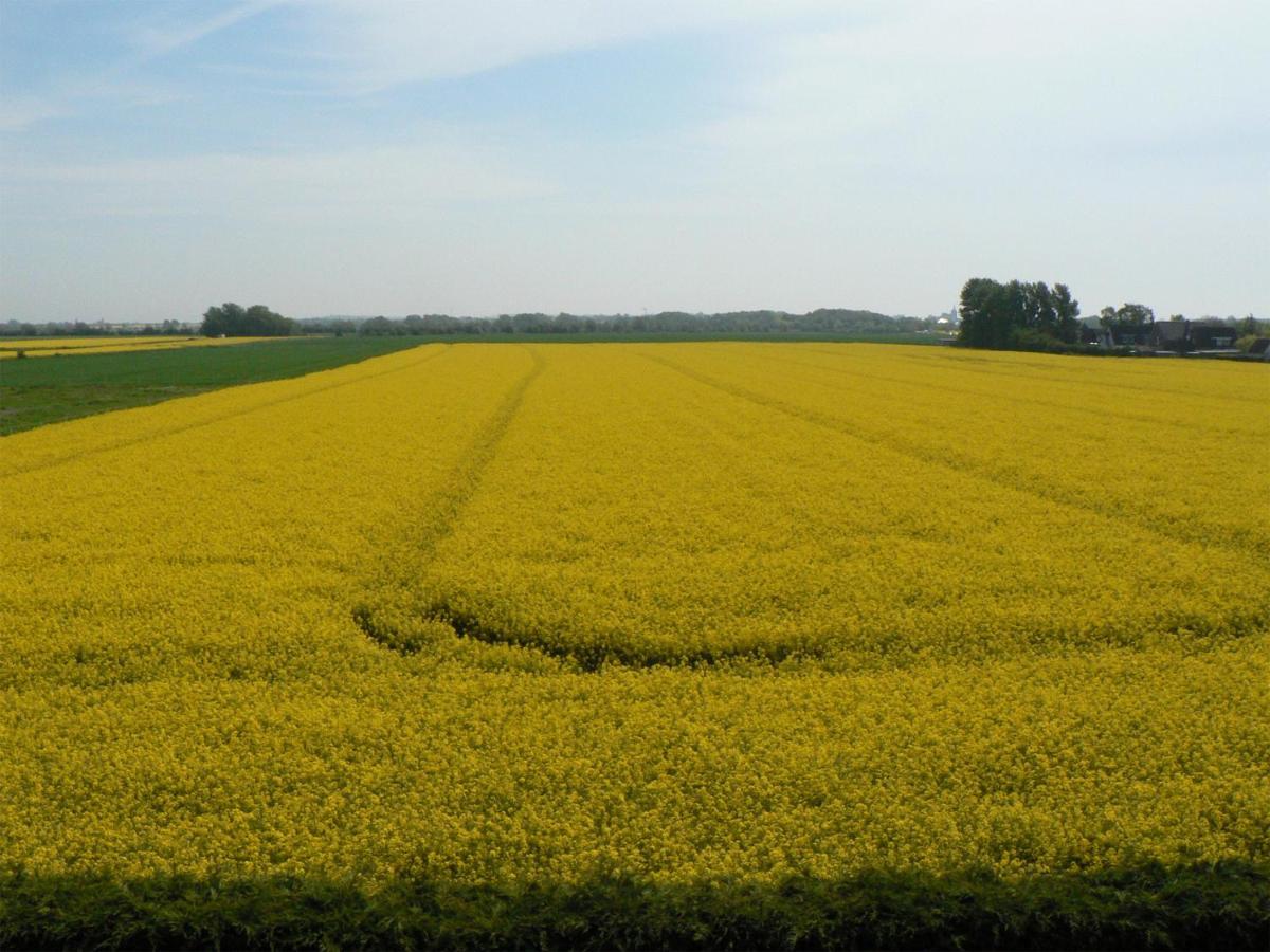 Appartamento Ein Haus Am Kornfeld Fehmarn Esterno foto